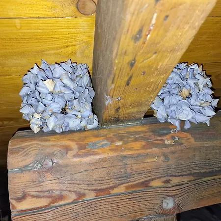 Romantik Dachstudio Bergische Oase Bis 4 Personen